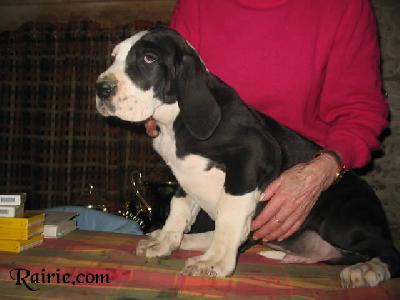 Univers Des Terres De La Rairie