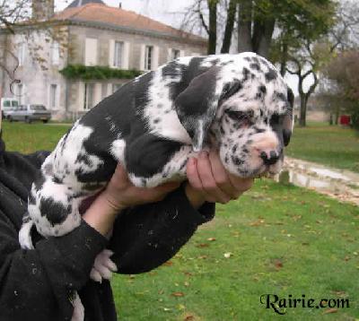 U.v Des Terres De La Rairie