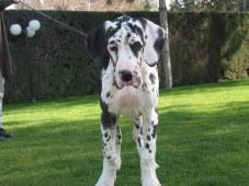 Umma Des Terres De La Rairie