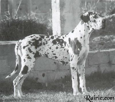 Bea Von Der Stadt Luneburg