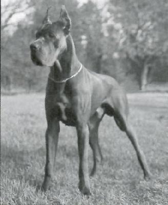 Ch Glenn De La Chatellerie