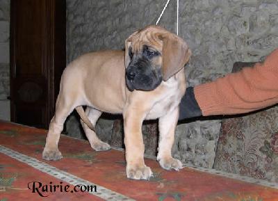 Utchina Des Terres De La Rairie