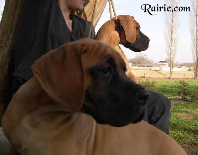 Utchina Des Terres De La Rairie