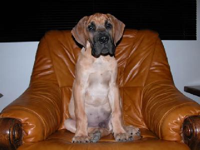 U.mann... Des Terres De La Rairie