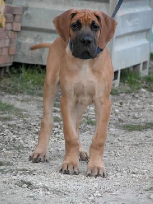 U.mann... Des Terres De La Rairie