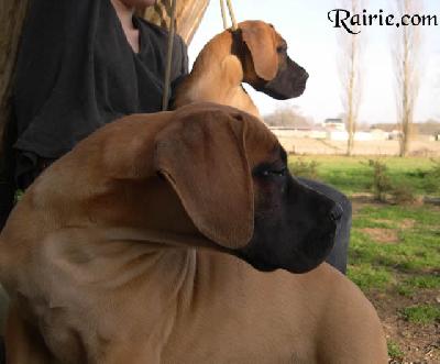 Ulilou Des Terres De La Rairie