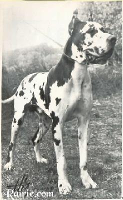 Trutz Von Der Rosshalde