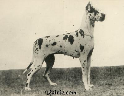 Dorle Von Stadt Pirmasens