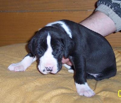 India Vom W�chterberg