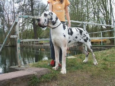 Isadora Vom W�chterberg