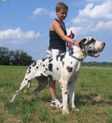 Isadora Vom W�chterberg