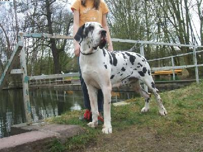 Isadora Vom W�chterberg