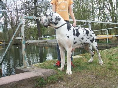 Isadora Vom W�chterberg