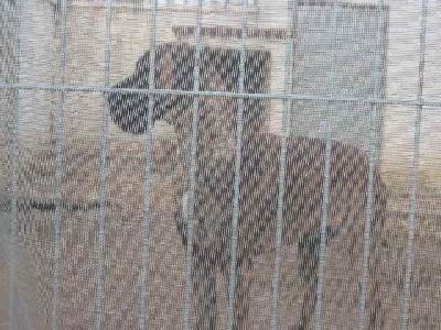 Doris Machin De Vinazas