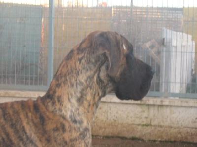 Doris Machin De Vinazas