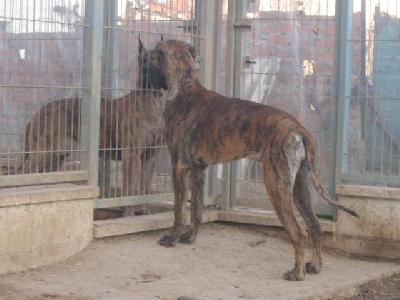 Doris Machin De Vinazas