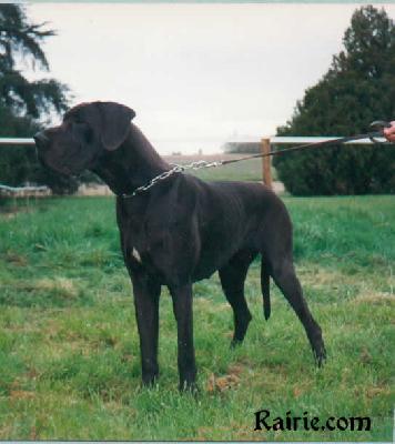 Hoochigeas Des Terres De La Rairie