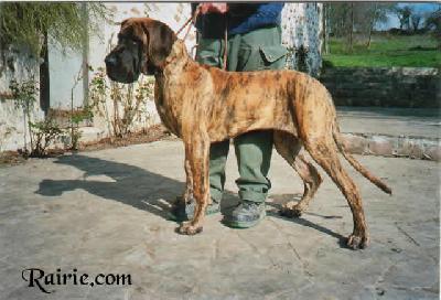 Udjaya Des Terres De La Rairie