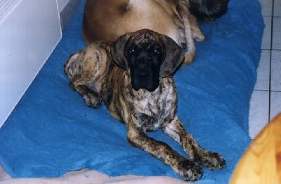 Udjaya Des Terres De La Rairie