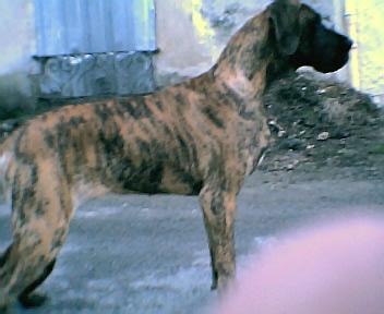 Udjaya Des Terres De La Rairie