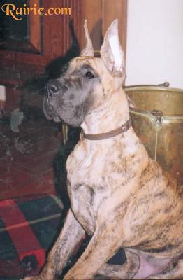 Ubald Des Terres De La Rairie