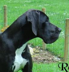 Ulhan Des Terres De La Rairie