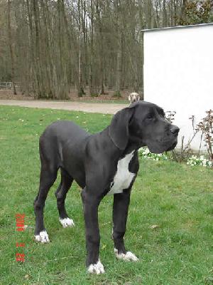 Ulhan Des Terres De La Rairie