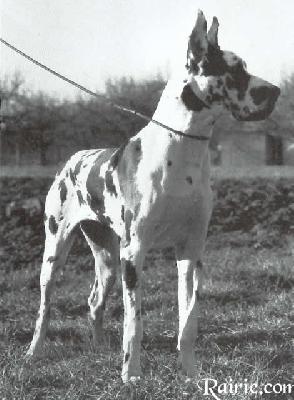 Maja Von Der Hochwiesen