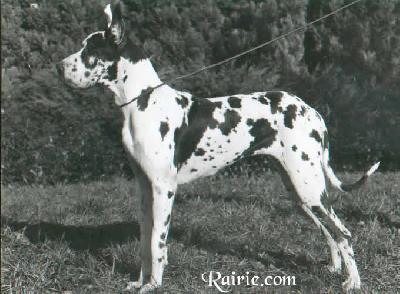 Maja Von Der Hochwiesen