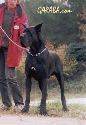 Shamaco De La Benjamine