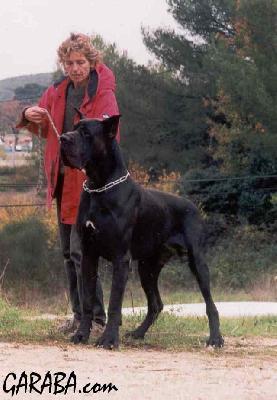 Shamaco De La Benjamine