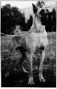 Night And Day Des Terres De La Rairie