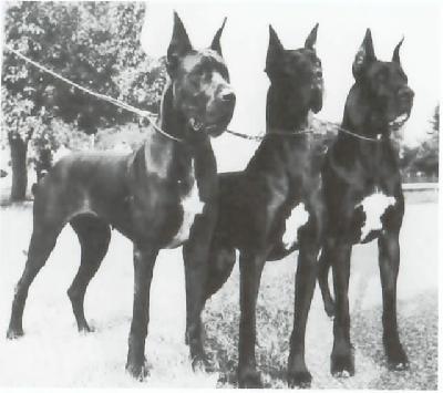 Klarissa Von Der Ofnethohle