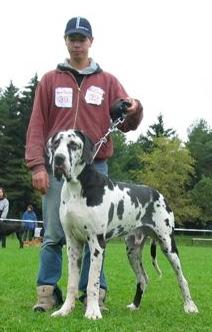 Jason Vom W�chterberg