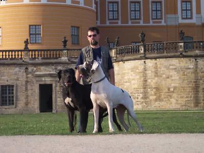 Jethro Tull Vom W�chterberg