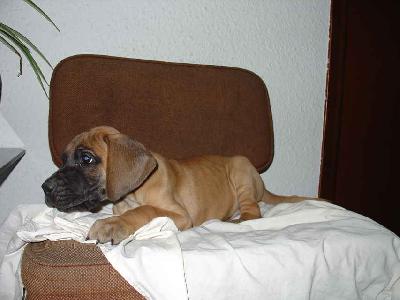 Kath2003121201 De Los Aguilares