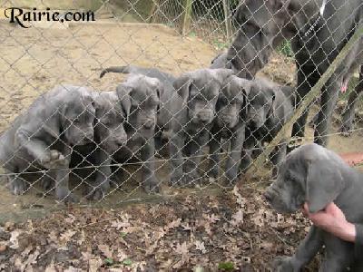 Ulric Des Terres De La Rairie