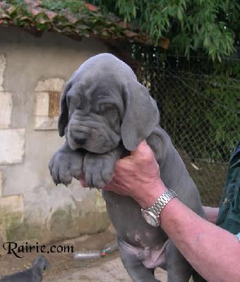 Unione Des Terres De La Rairie