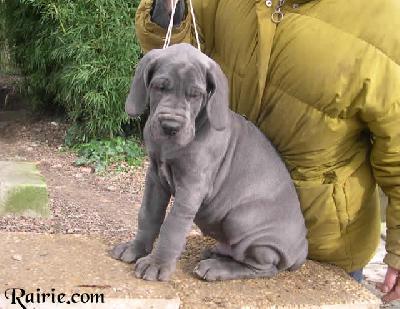 Ullamaliztli Des Terres De La Rairie