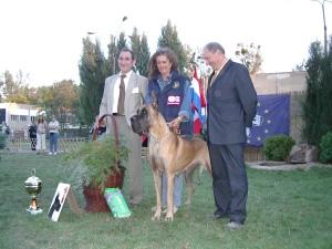 Ch Petronilla Dei Cento Scudi