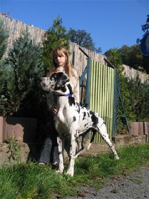 Nyssa Bocca D�tigre