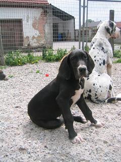 Nancy Bocca D�tigre