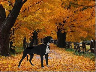 Naomy Bocca D�tigre