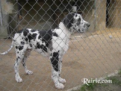 Ulois Des Terres De La Rairie