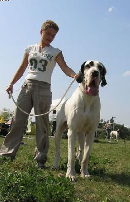 Bascha-luna Von Schlesien