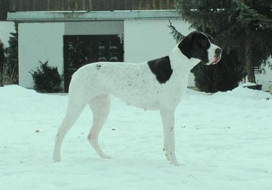 Jumana Von Blue Ground