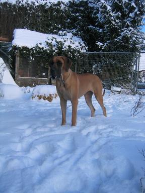 Osiria Bocca D�tigre