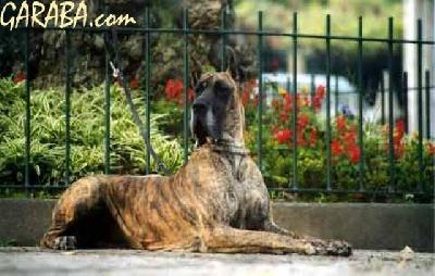 Emma Do Terras Do Balio