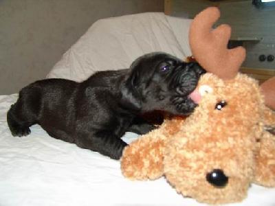 April Von Blackpearl