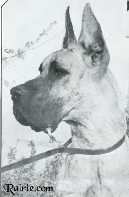 Nouchka De La Templerie